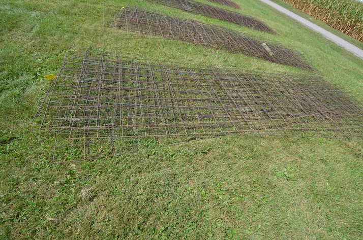 Image for (10) Mesh Cattle Panels - Alma, WI