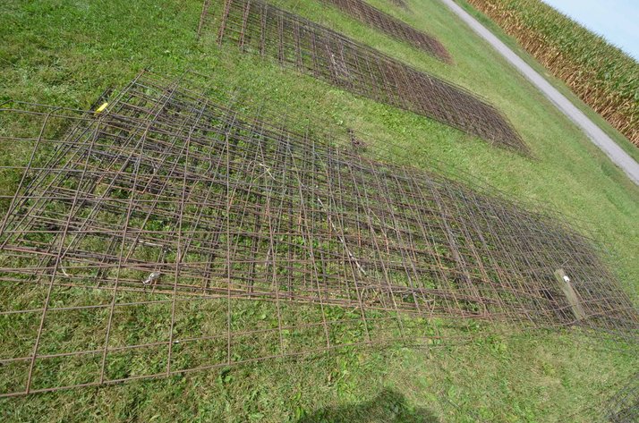 Image for (10) Mesh Cattle Panels - Alma, WI