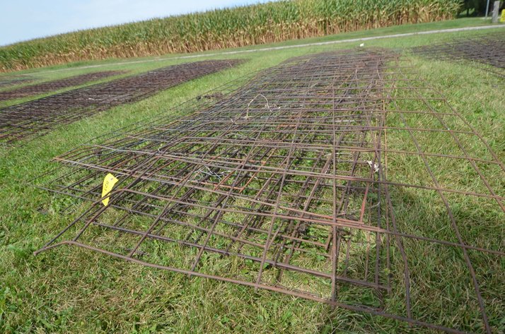 Image for (10) Mesh Cattle Panels - Alma, WI
