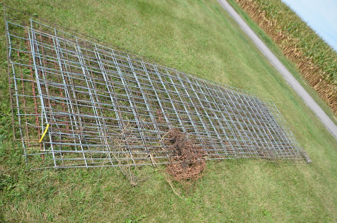 (10) Mesh Cattle Panels - Alma, WI