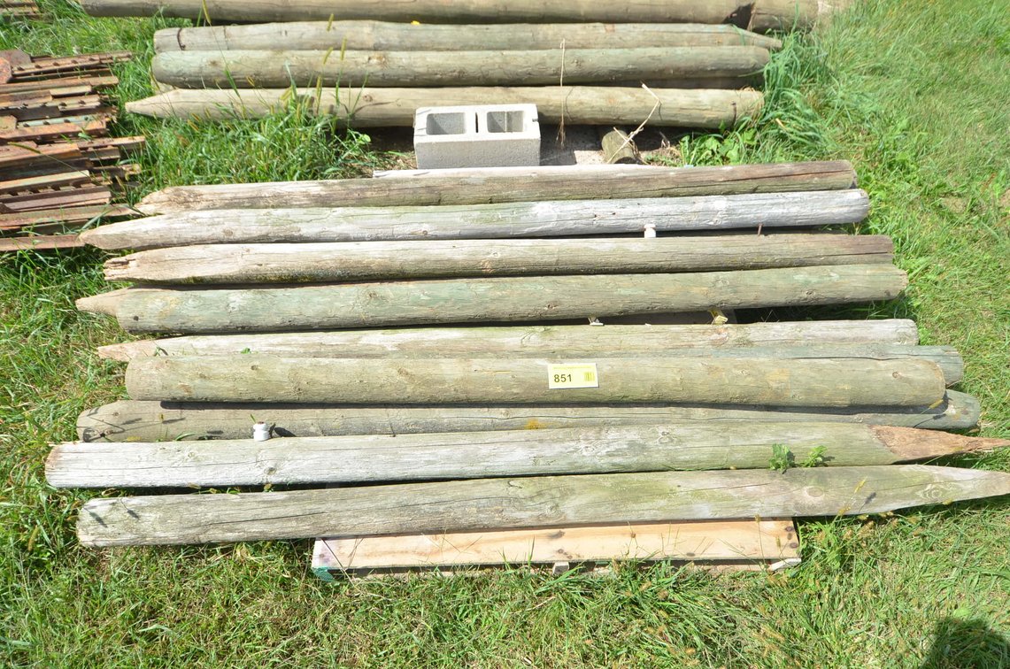 (14) 4" Cedar Posts  - Alma, WI