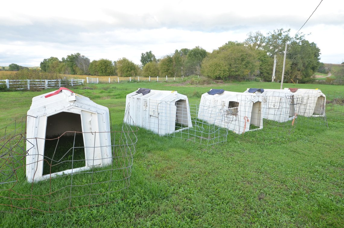 (5) Calf-Tel Calf Hutches