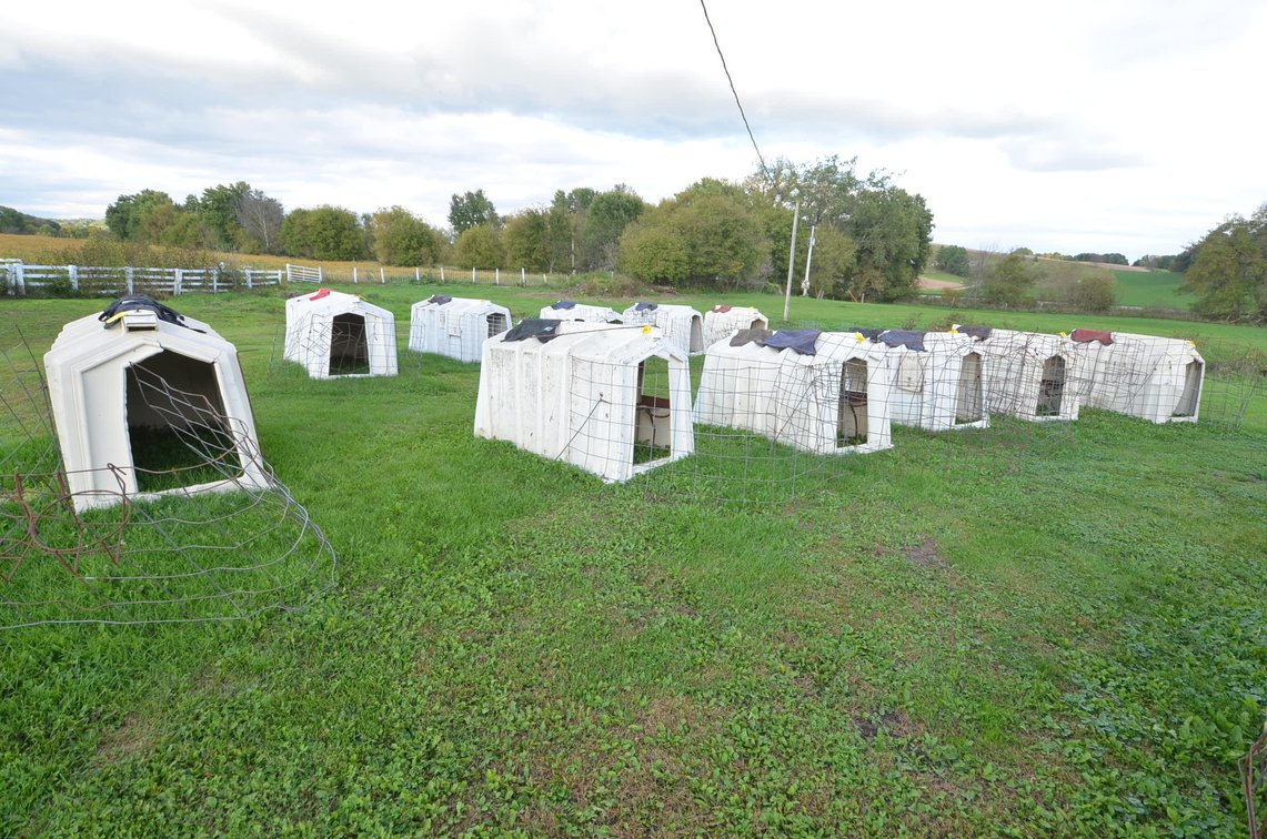 (5) Calf-Tel Calf Hutches
