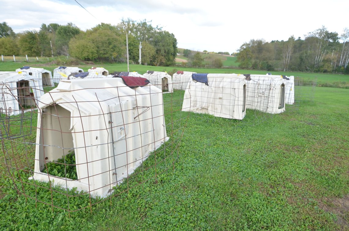 (5) Calf-Tel Calf Hutches