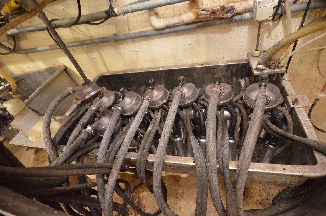 (8) Bou-Matic Milking Units