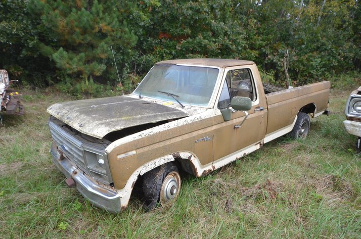 Image for 1982 Ford F150 Truck - Non Runner