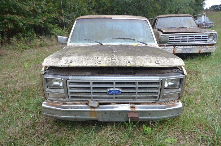 Image for 1982 Ford F150 Truck - Non Runner