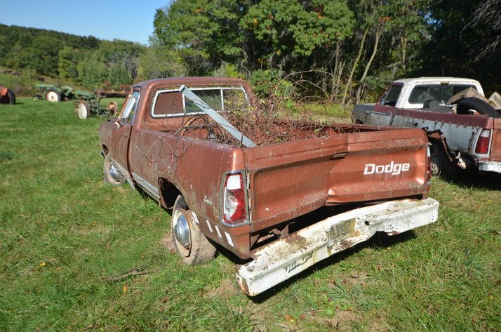 Image for 1975 Dodge 200 Truck - Non Runner