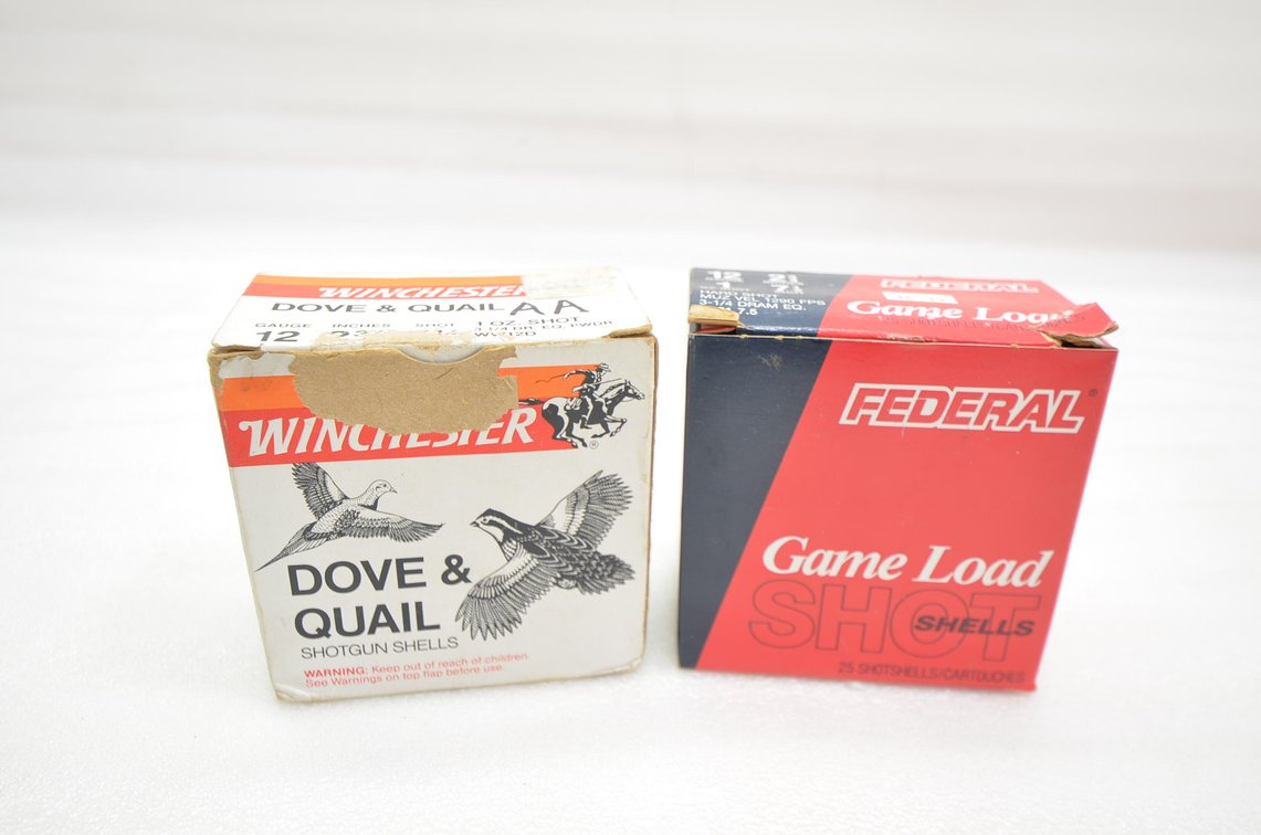 12ga Ammo (2 Box)