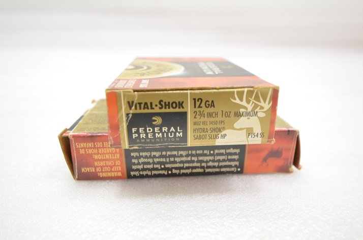 Image for Federal 12ga Sabot Slug (2 Box)