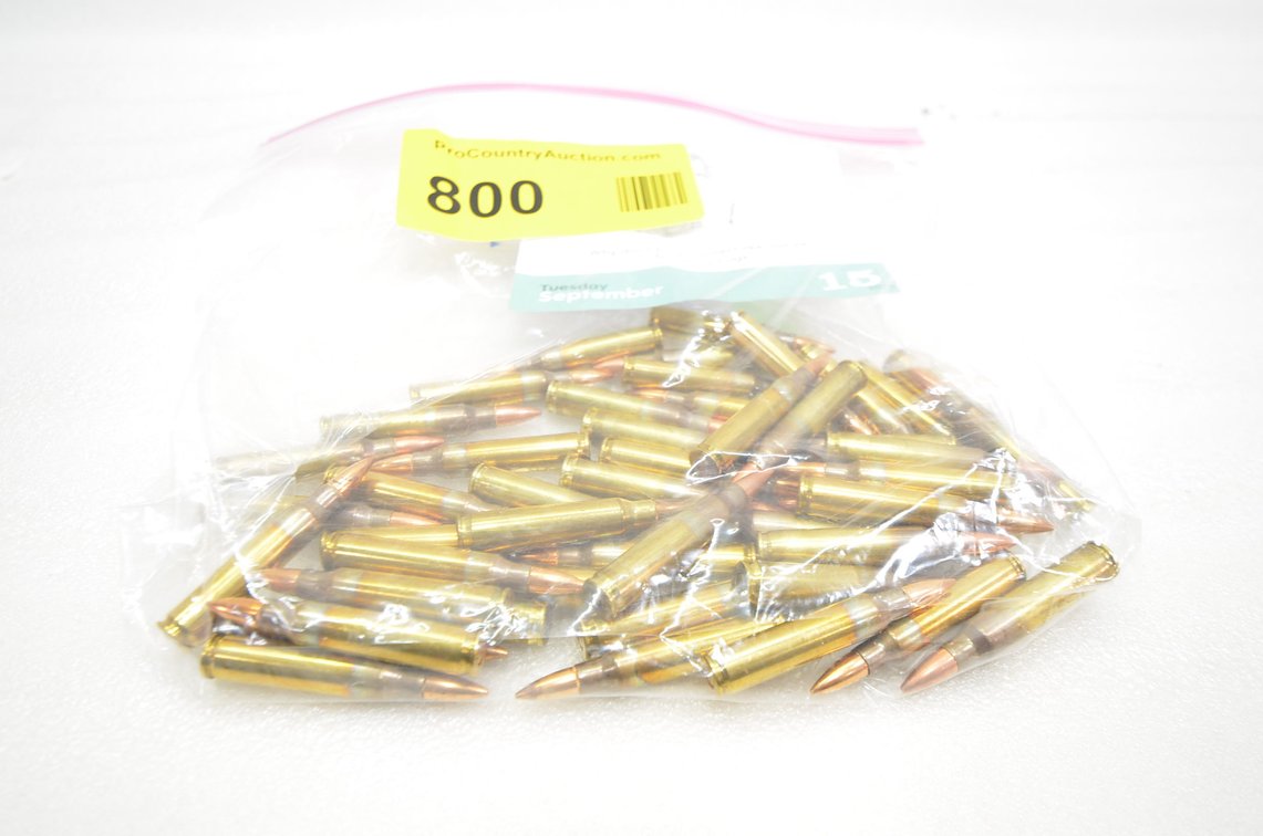 .223 Ammo (49 Rounds)