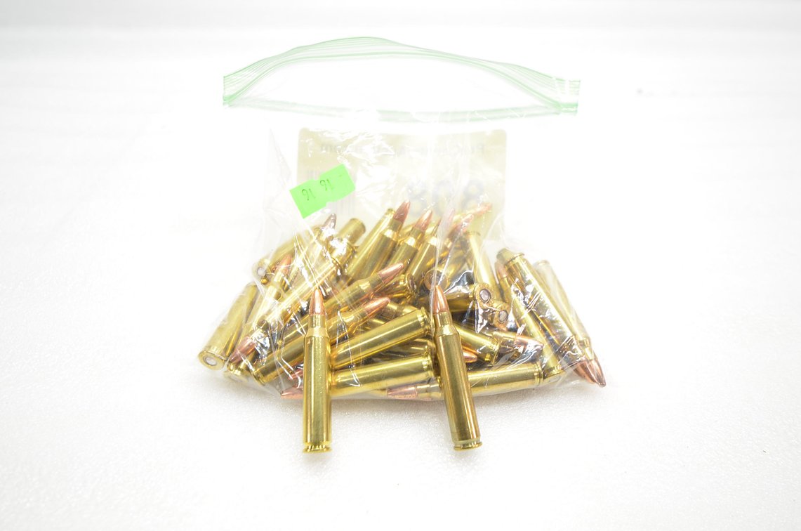 .223 Ammo (52 Rounds)
