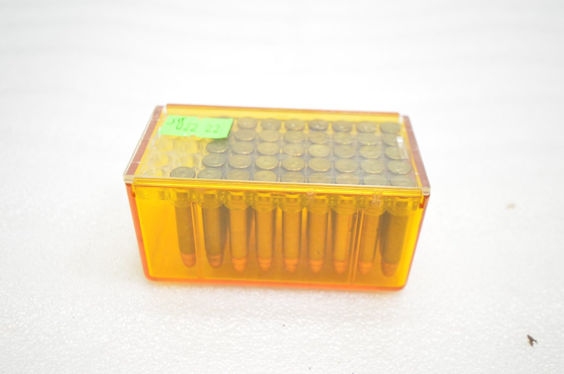 .22 Cal Ammo