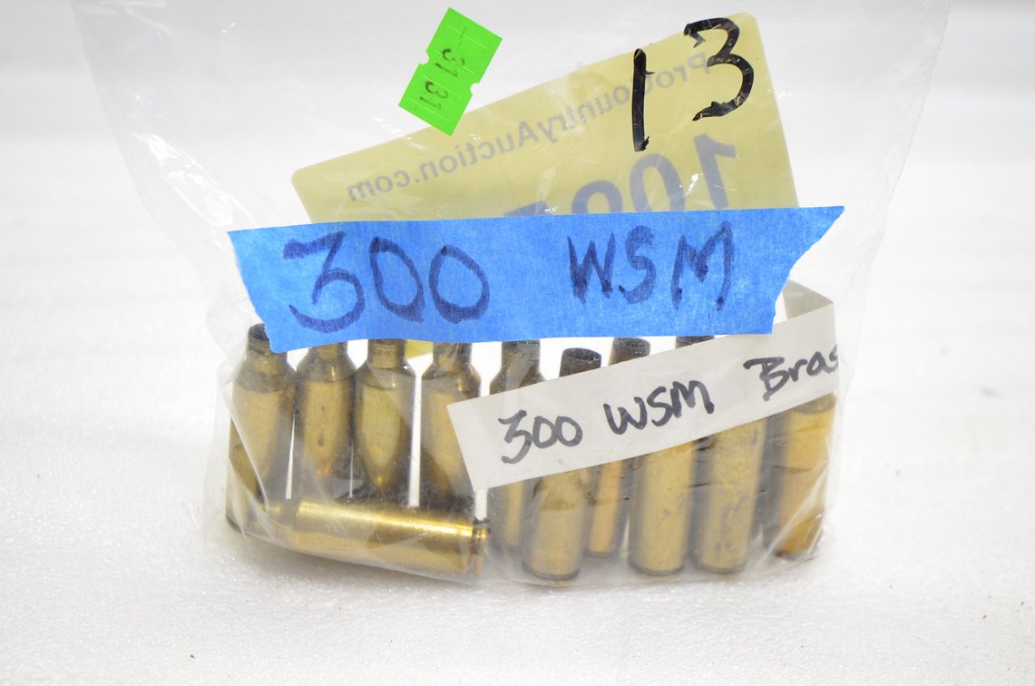 300 WSM Empty Brass (10+)