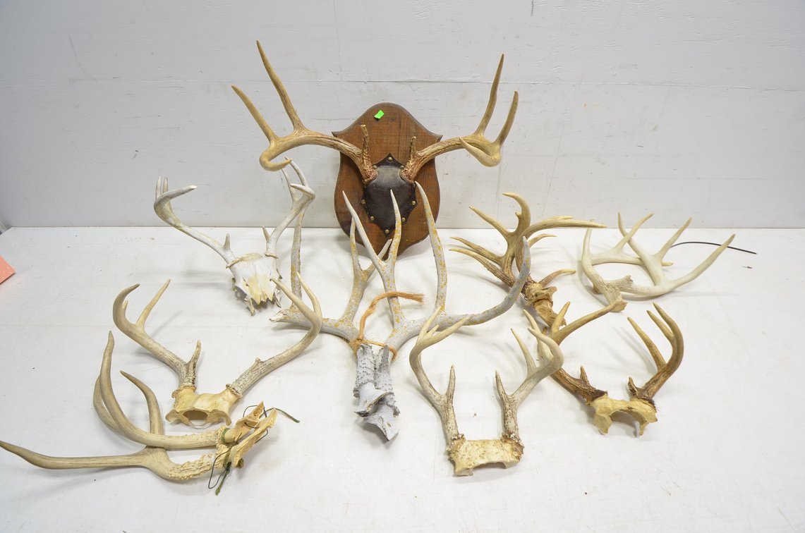 Deer Antler Grab Bag