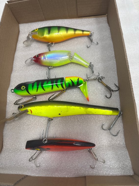 (5) Musky Lures