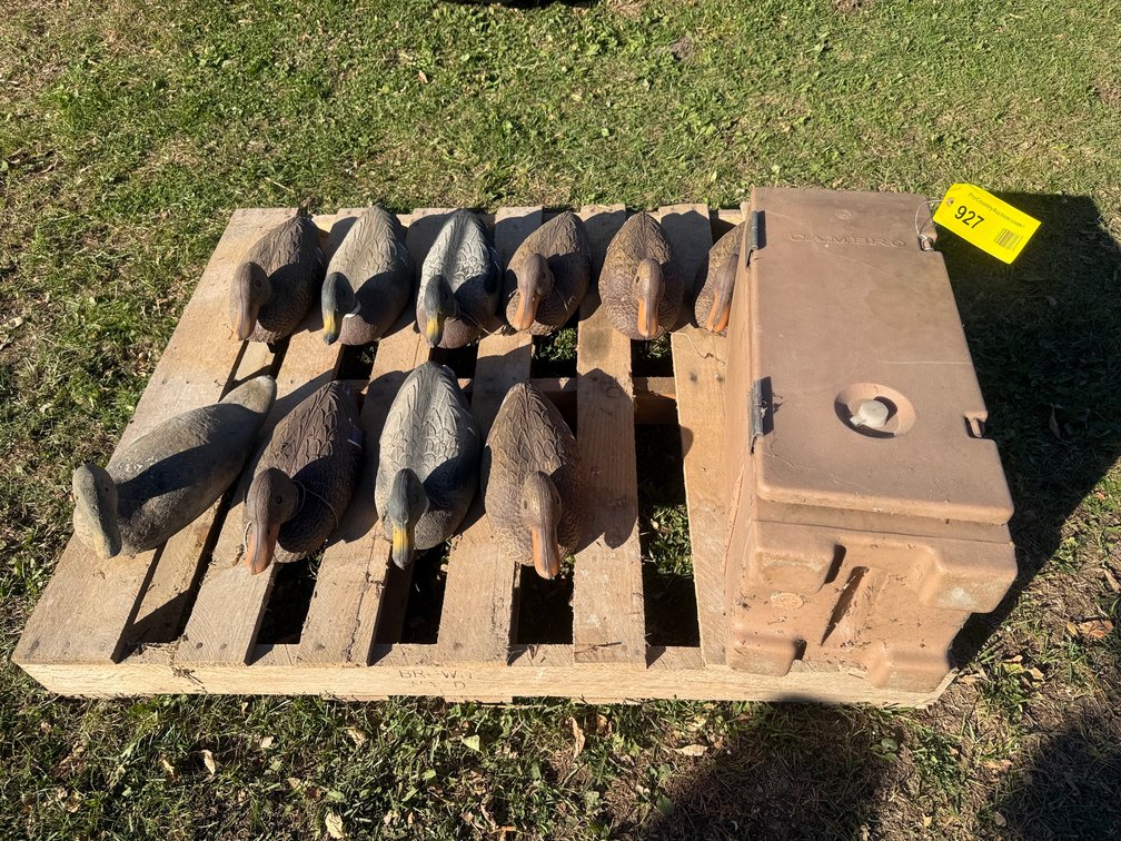 Duck Decoy Pallet