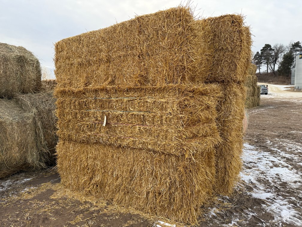 Image for LATE JANUARY HAY & BEDDING AUCTION - Dodge, WI