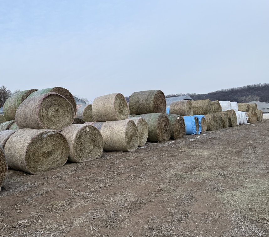Image for LATE JANUARY HAY & BEDDING AUCTION - Dodge, WI
