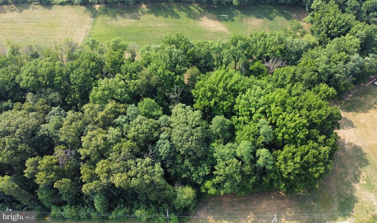 Image for Online Only Land Auction - (+/-) 5.4 acres in Lancaster County