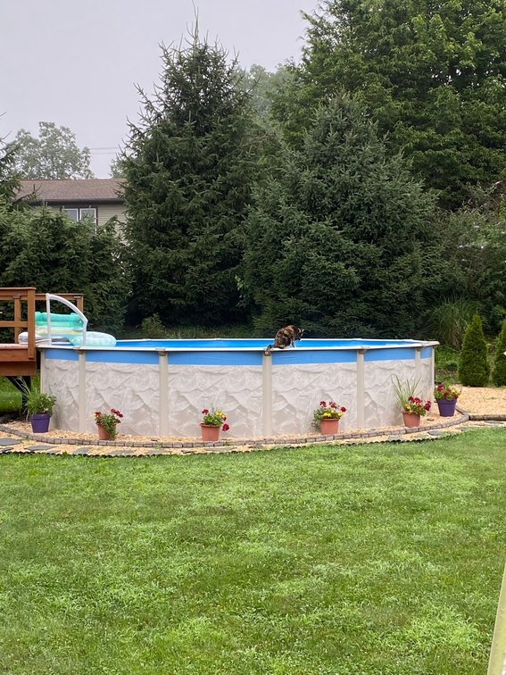 Image for 14 North Butterfly Drive - Myerstown, PA