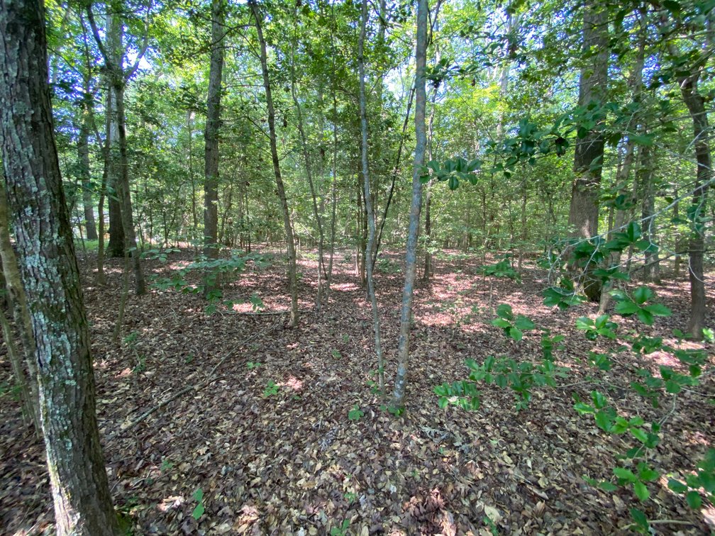 Image for 8000 North Courthouse Road, New Kent VA