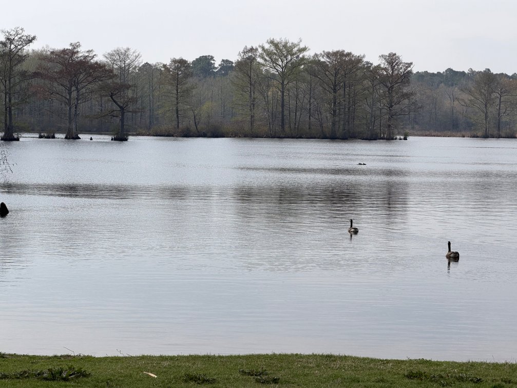 Image for Eagles Landing Marina Real Estate and Business Assets - New Kent County Virginia