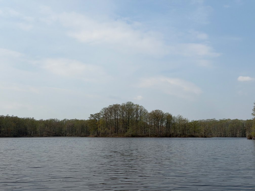 Image for Eagles Landing Marina Real Estate and Business Assets - New Kent County Virginia