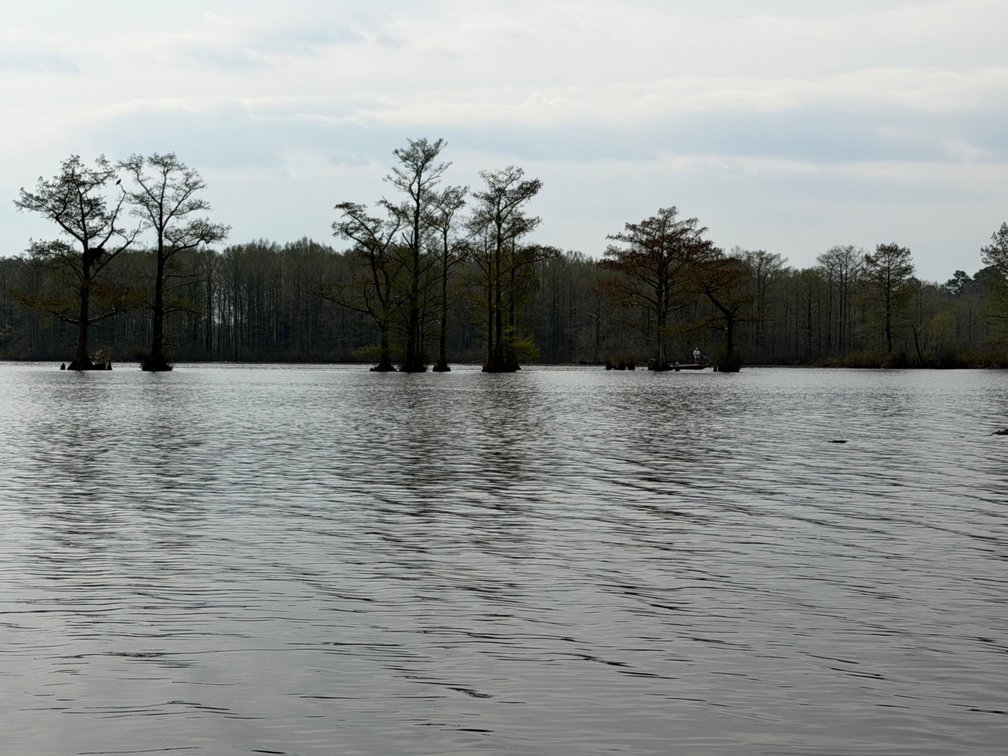 Image for Eagles Landing Marina Real Estate and Business Assets - New Kent County Virginia