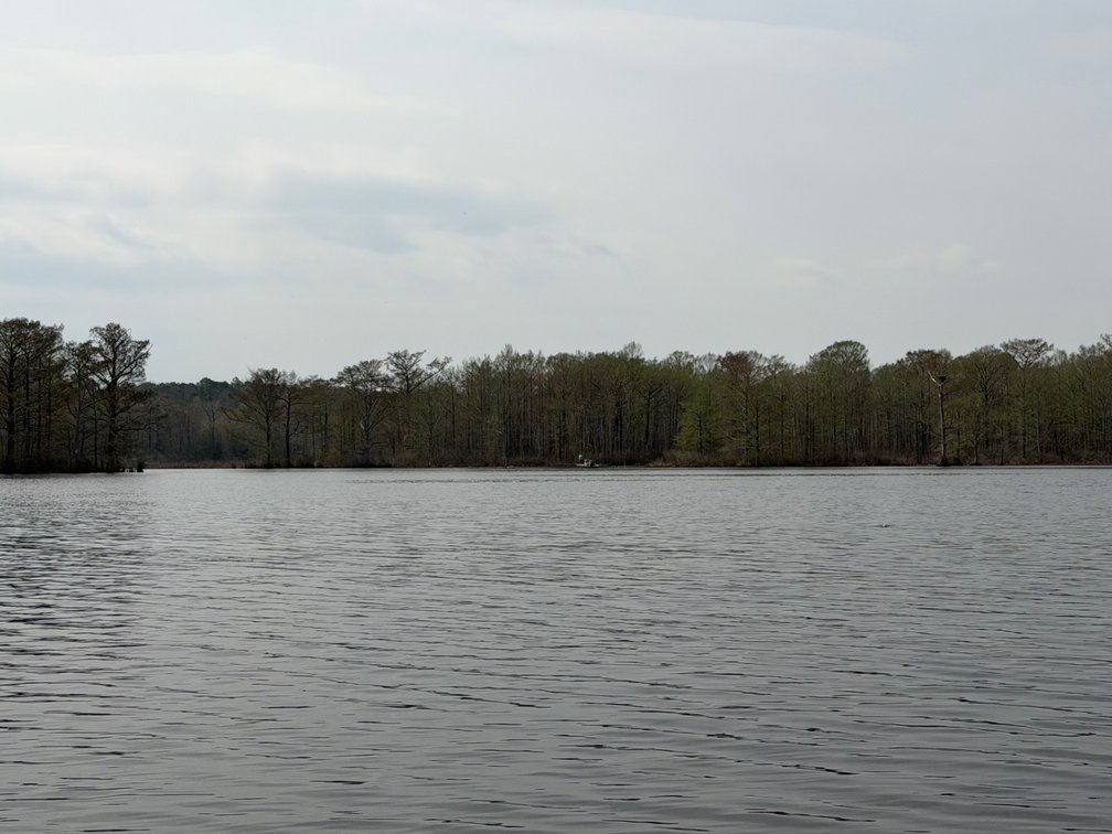 Image for Eagles Landing Marina Real Estate and Business Assets - New Kent County Virginia