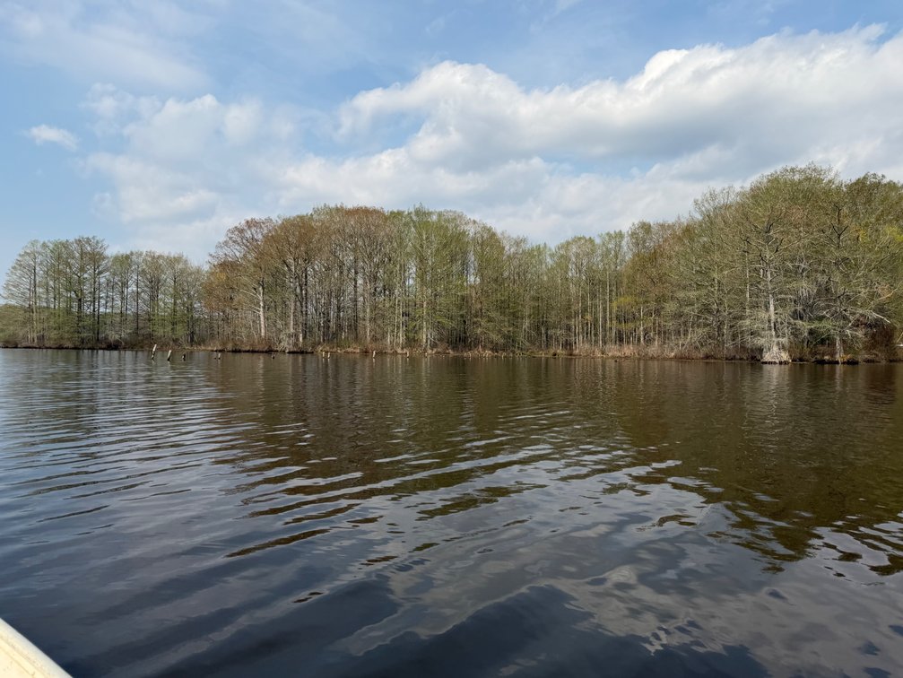 Image for Eagles Landing Marina Real Estate and Business Assets - New Kent County Virginia