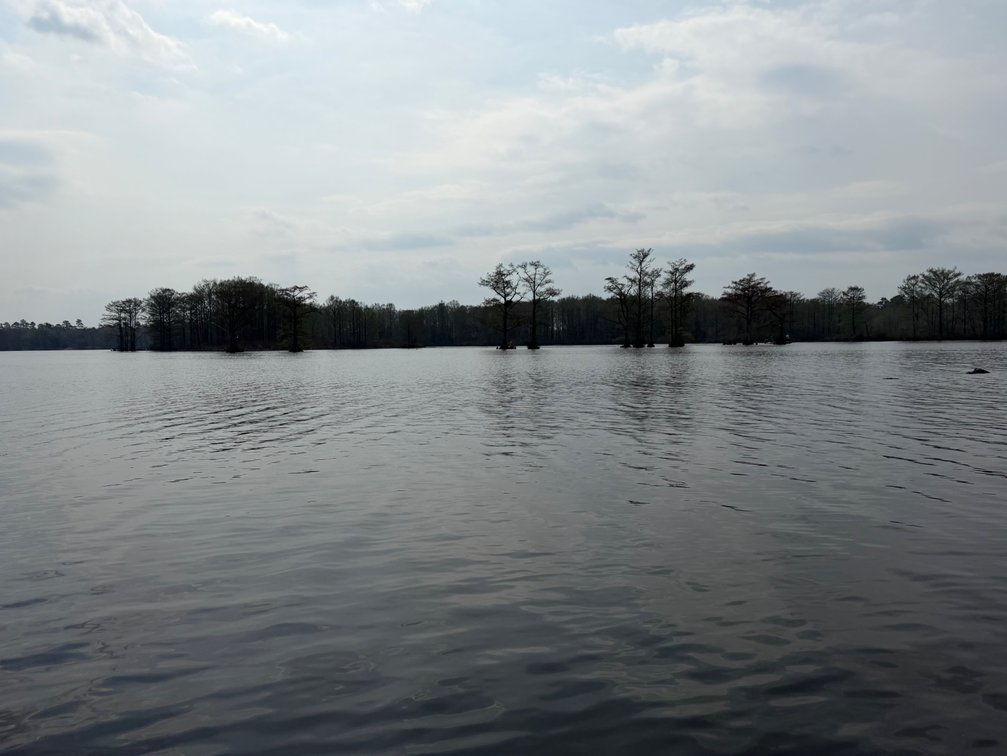 Image for Eagles Landing Marina Real Estate and Business Assets - New Kent County Virginia