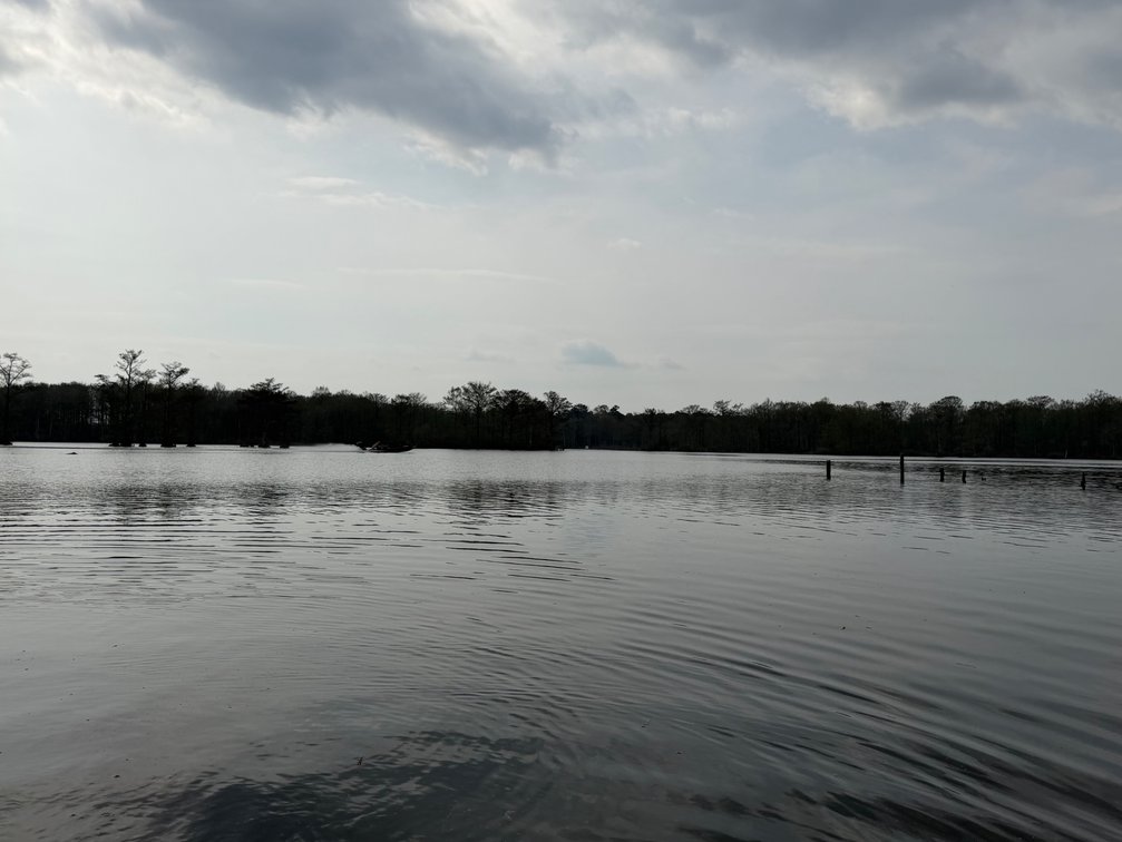 Image for Eagles Landing Marina Real Estate and Business Assets - New Kent County Virginia