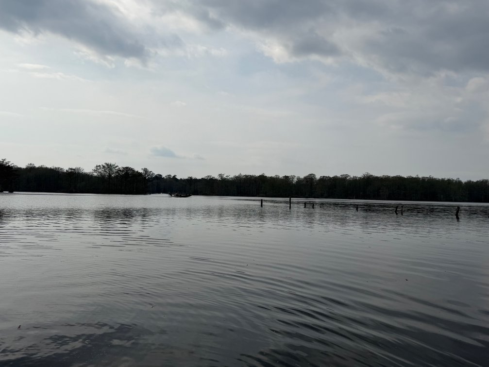 Image for Eagles Landing Marina Real Estate and Business Assets - New Kent County Virginia