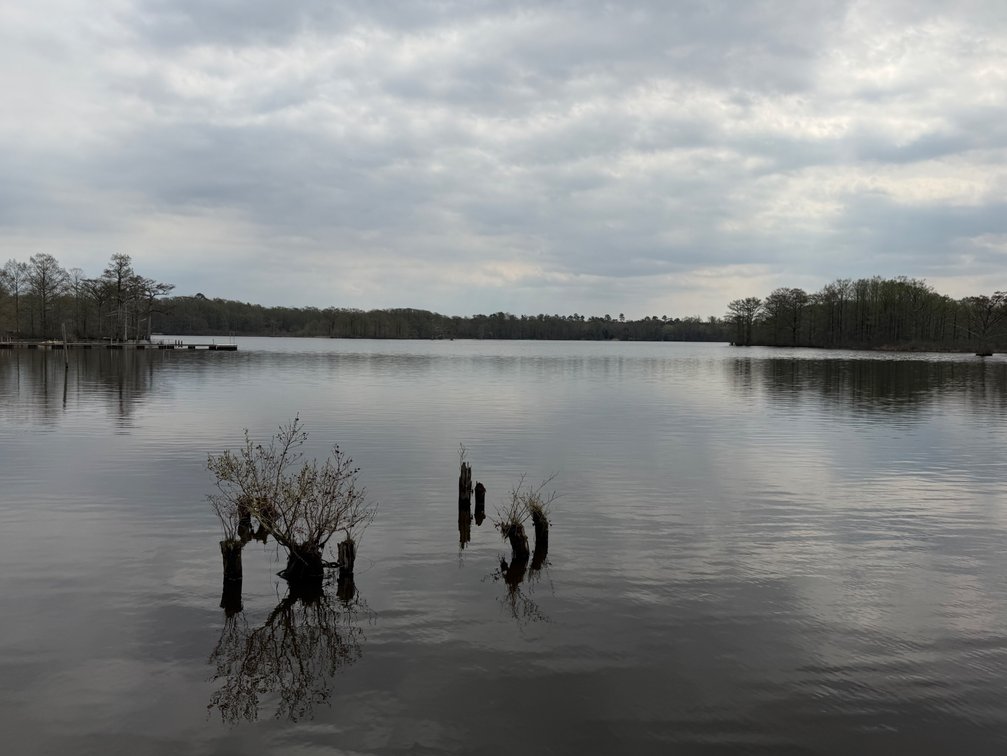 Image for Eagles Landing Marina Real Estate and Business Assets - New Kent County Virginia
