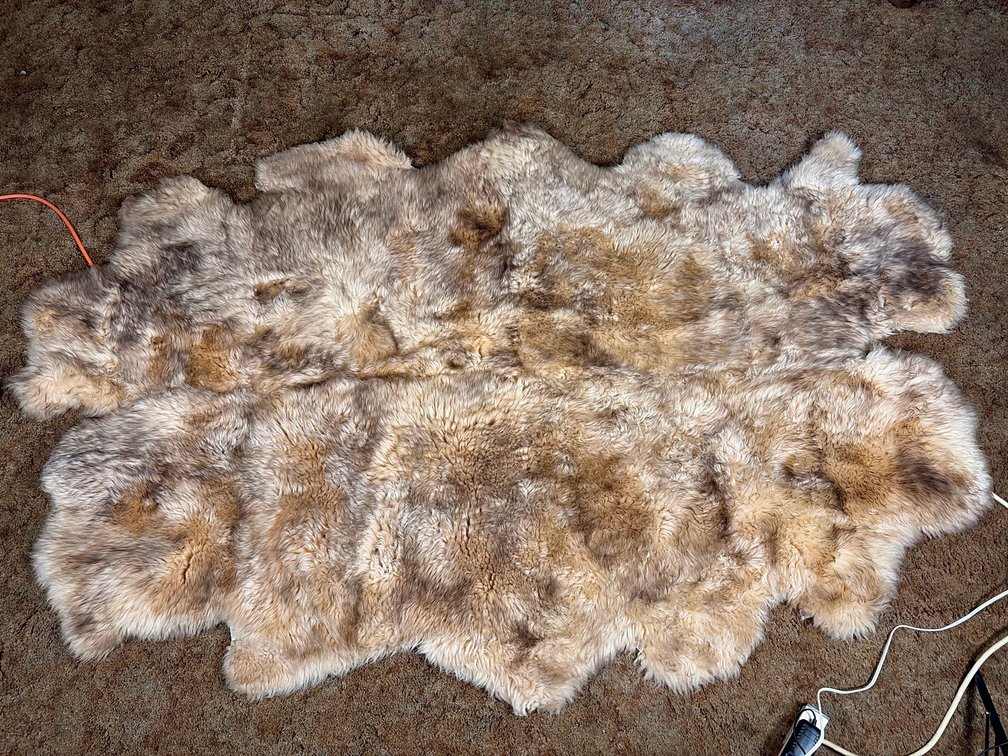 Pakistan Lamb and USA Sheepskin Rug