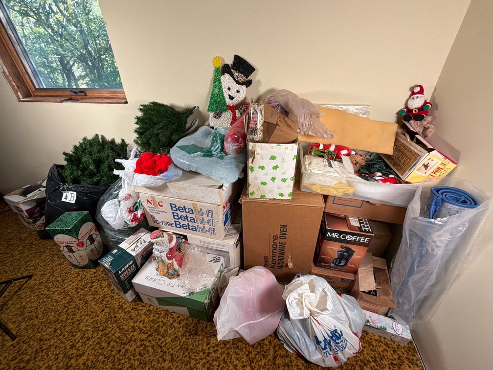 Large Christmas Lot