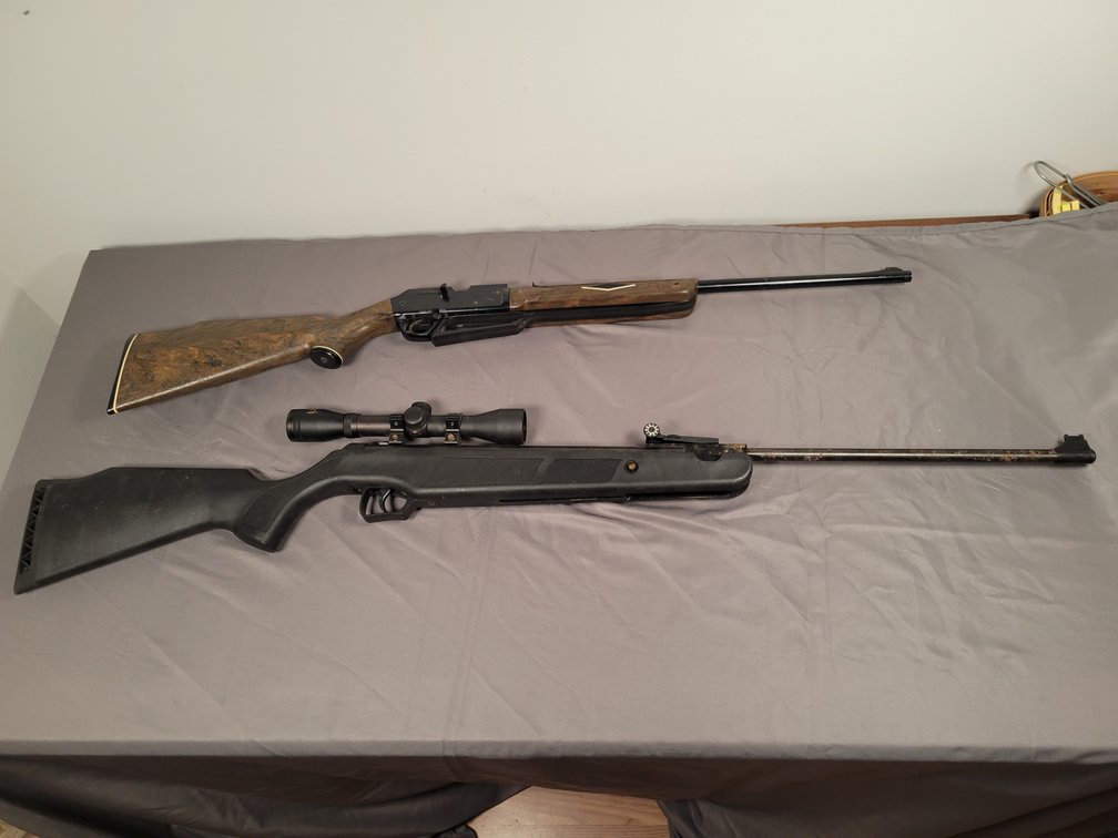 Beeman and Daisy Air Rifles