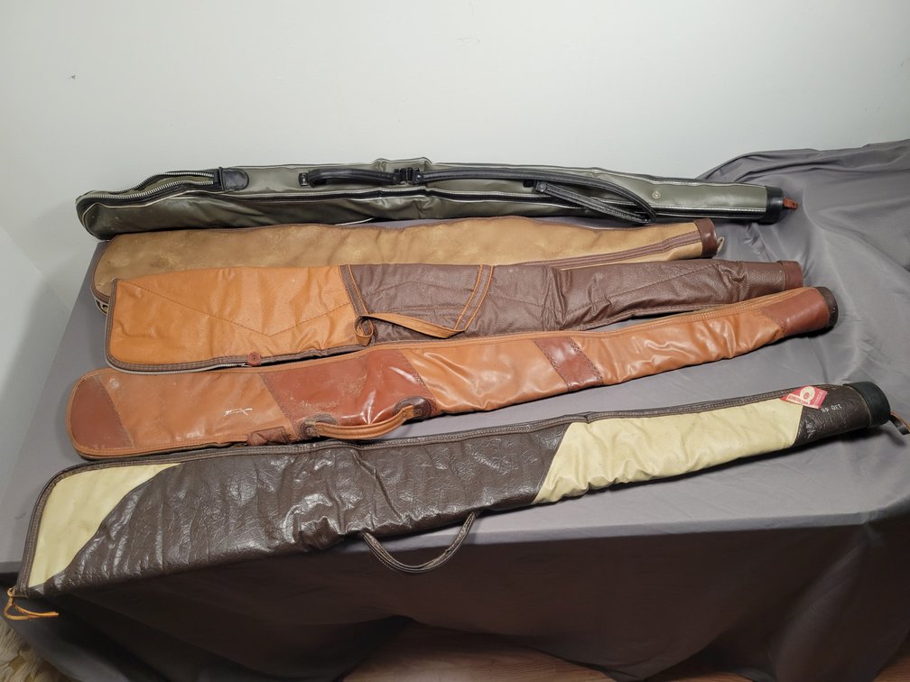 Gun Carrying Cases