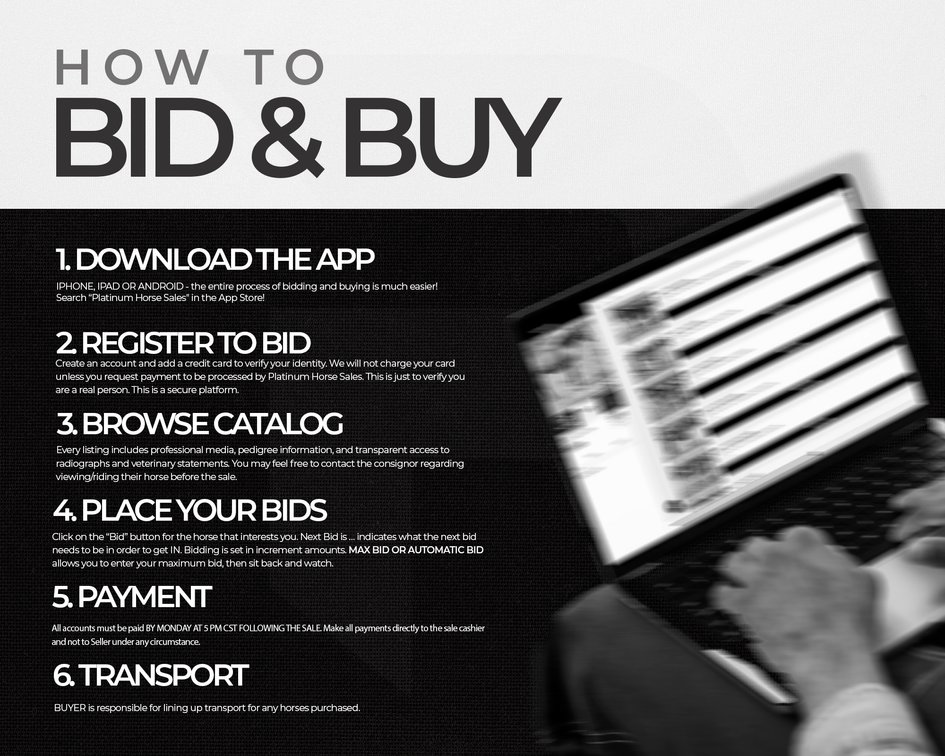 How To Bid & Buy With Platinum Horse Sales