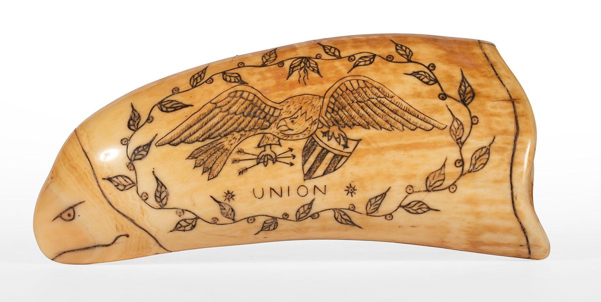 Whale Tooth Scrimshaw