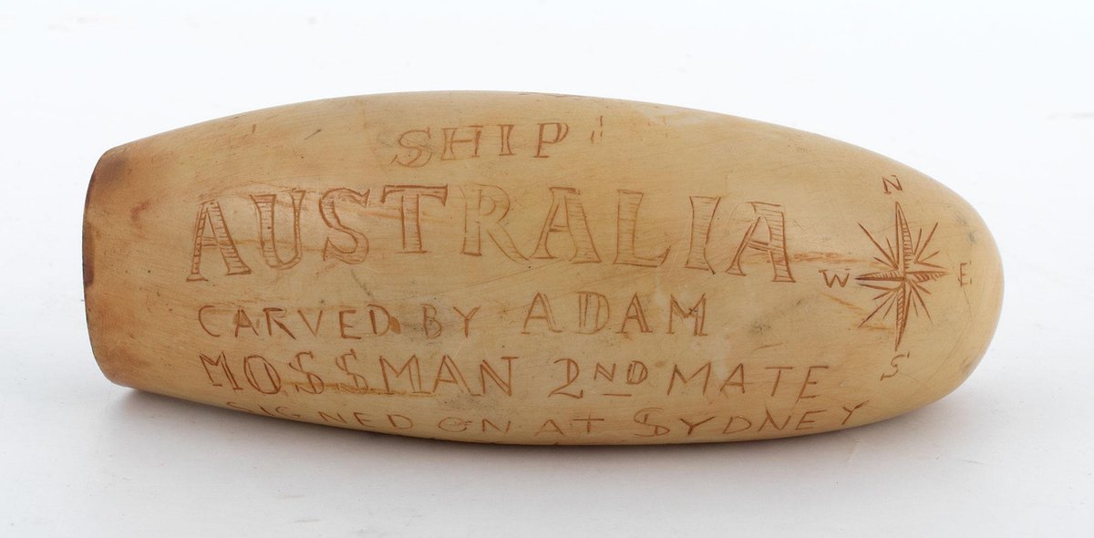 Scrimshaw Carved Whale Tooth