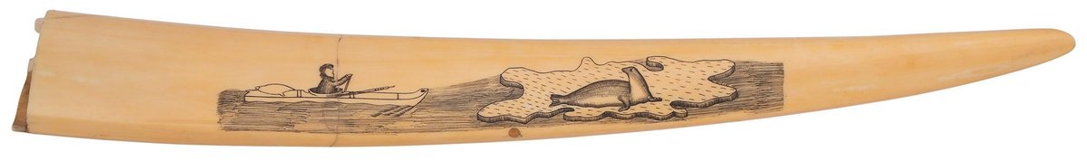 Walrus Tusk Scrimshaw Cribbage Board
