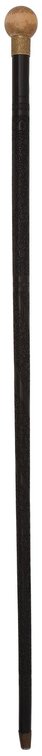 Chinese Highly Relief Carved Walking Stick