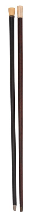 Two 19th Century Continental Bone Handled Walking Sticks