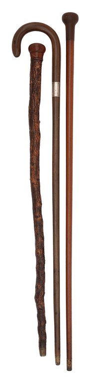 Grouping of Various Walking Sticks
