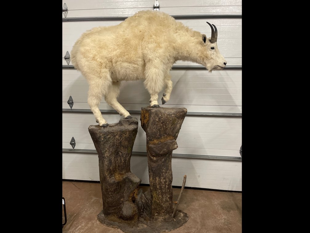 Image for Barnum Auction #199