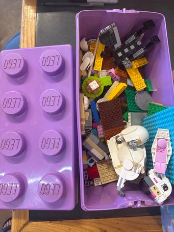 Image for Girl’s LEGOs