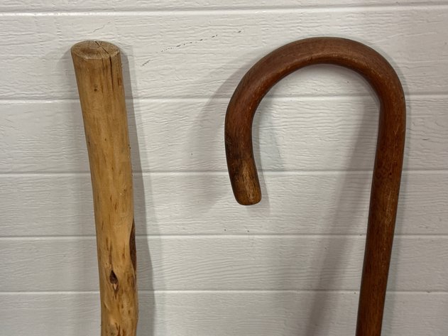 Image for Canes