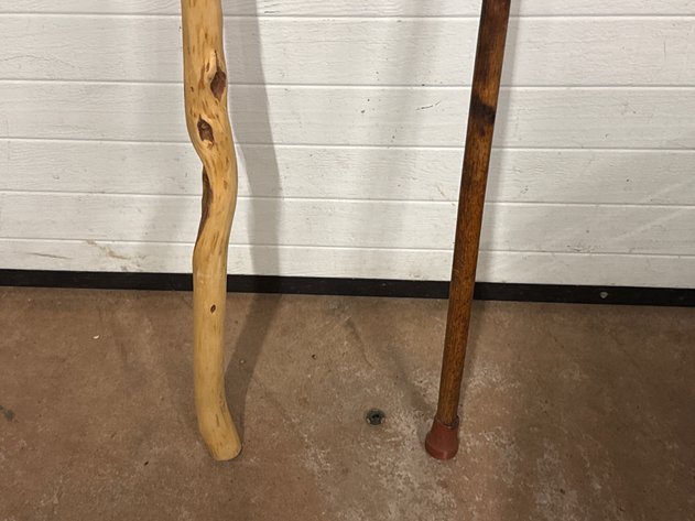 Image for Canes